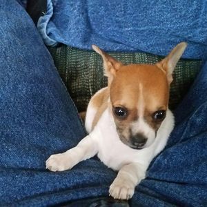 Meet your Posher, Jeff